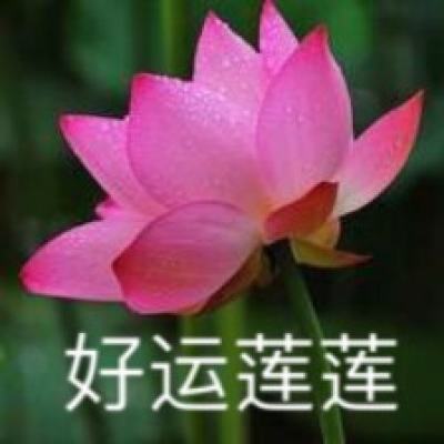刘佳晨当选深圳市妇联主席